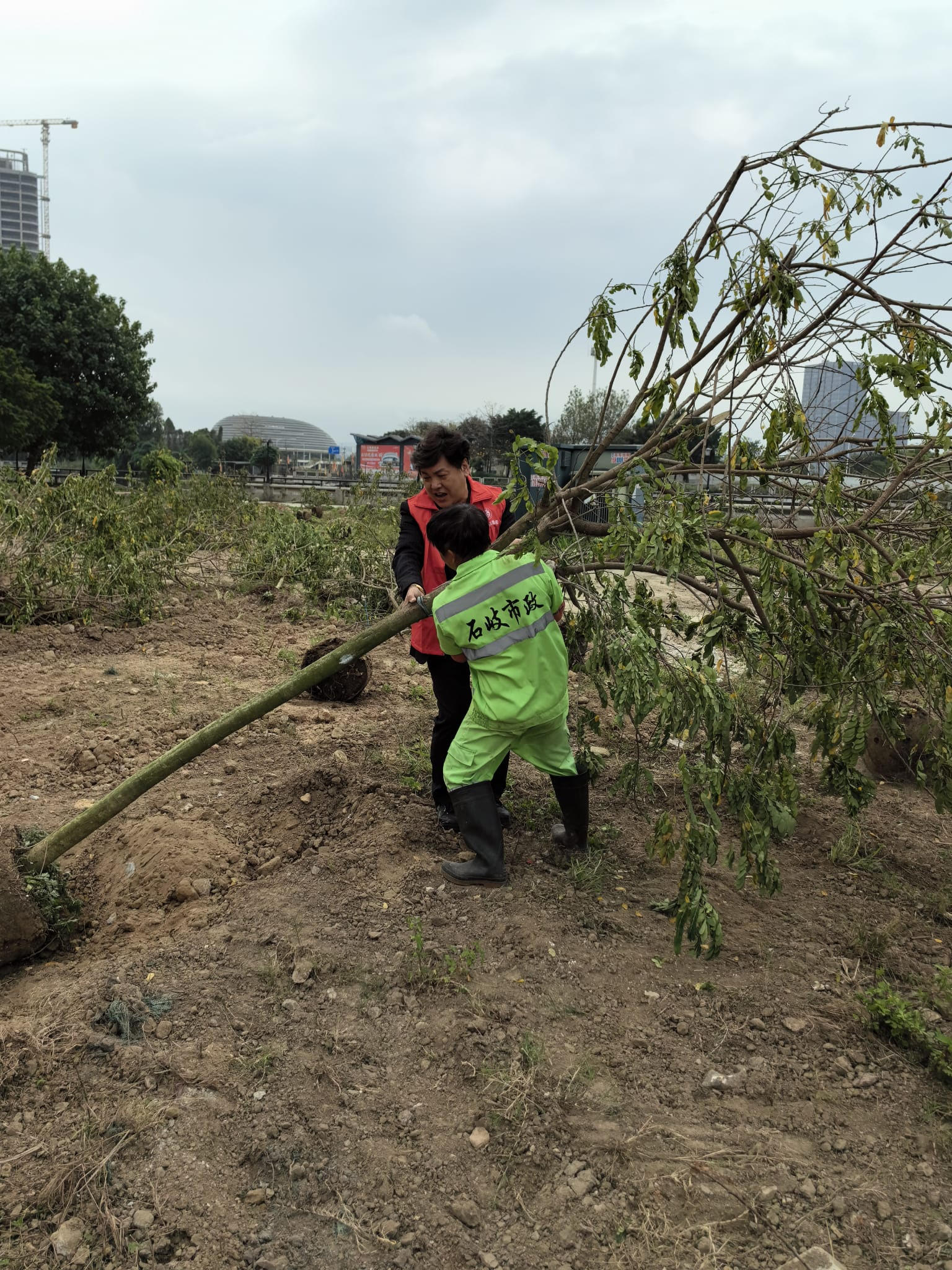 UCESR 聯合華人企業社會責任慈善基金